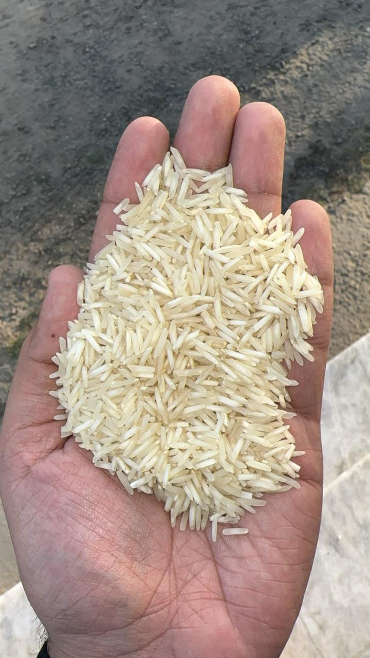 Types Of Rice In Pakistan EVER GREEN INTERNATIONAL | Premium Rice Export Company Karachi Pakistan