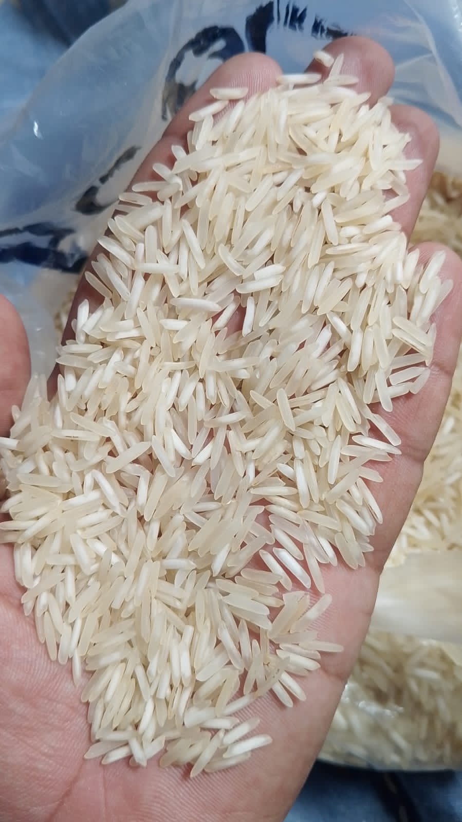 EVER GREEN INTERNATIONAL | Premium Rice Export Company Karachi Pakistan